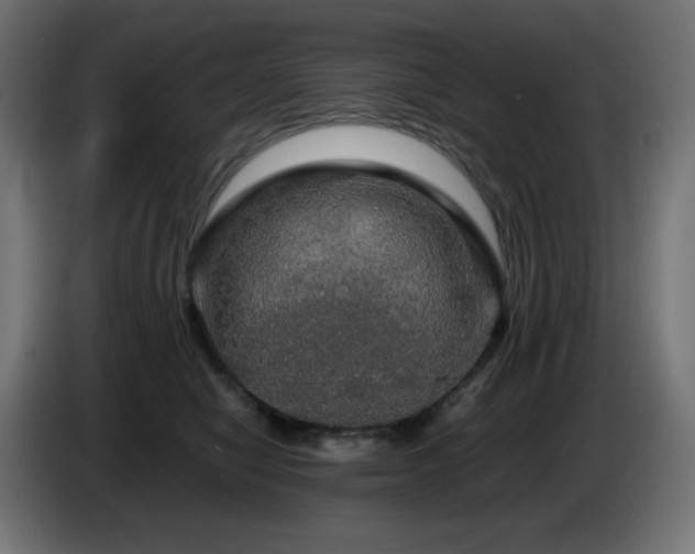 X0000087010470200704161545