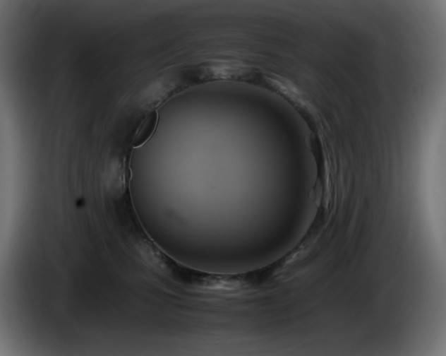 X0000087010471200704161545