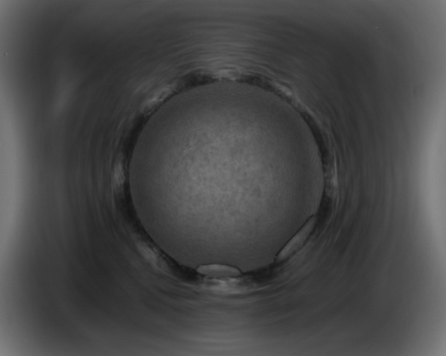 X0000087010472200704161545