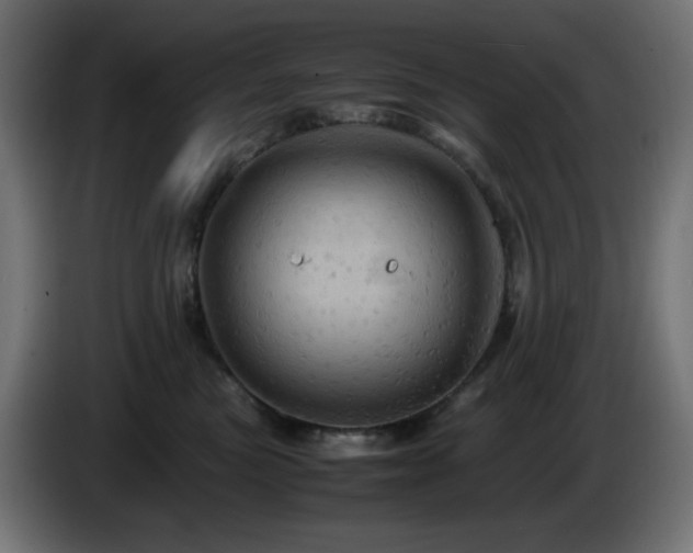 X0000087010473200704161545