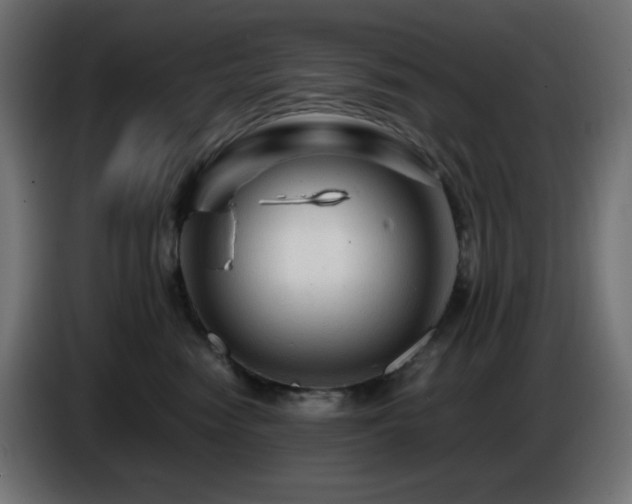 X0000087010474200704161545