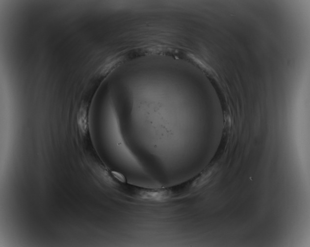 X0000087010479200704161545