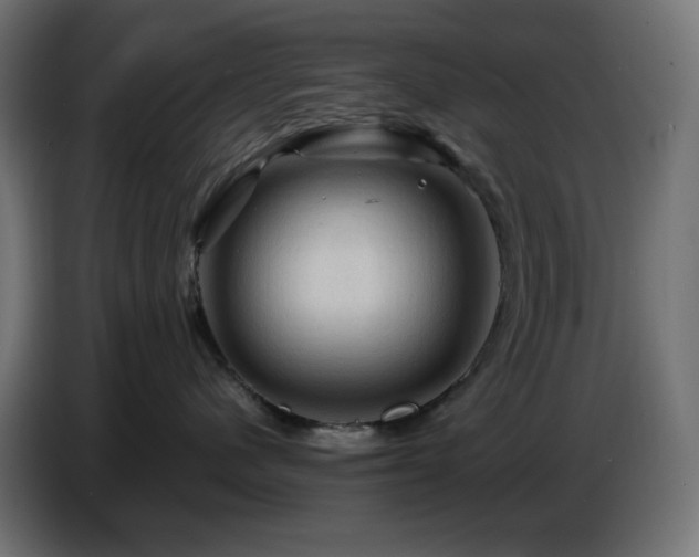 X0000087010480200704161545