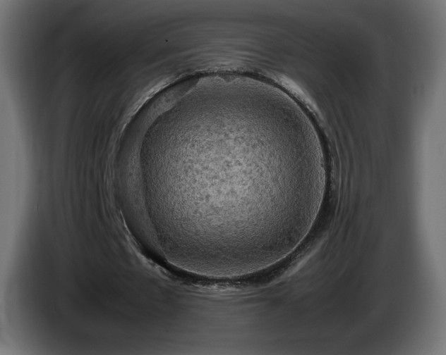 X0000087010481200704161544