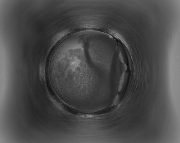 X0000087010482200704161544