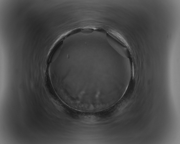 X0000087010483200704161544