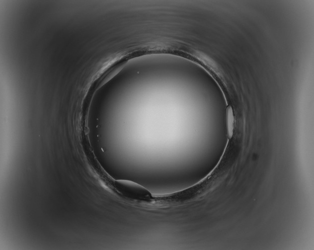 X0000087010485200704161544