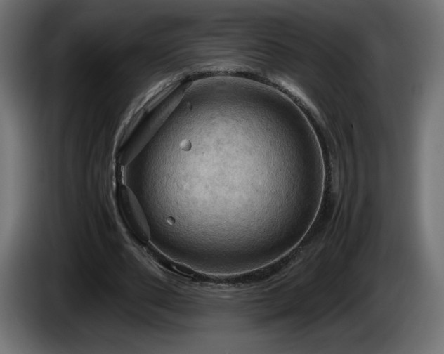 X0000087010486200704161544