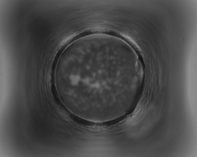 X0000087010487200704161544