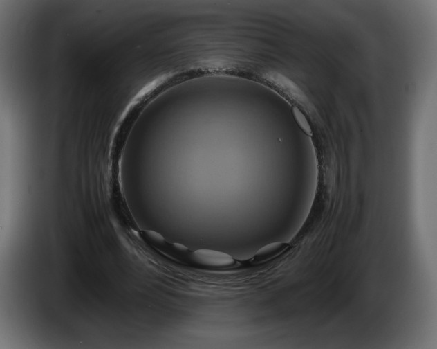 X0000087010488200704161544
