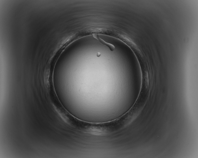 X0000087010490200704161544