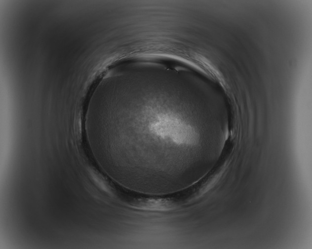X0000087010493200704161544