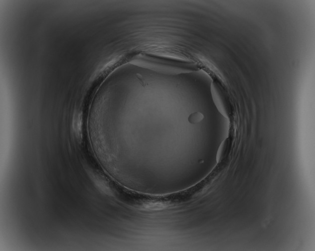 X0000087010494200704161544