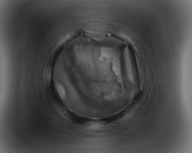 X0000087010495200704161544