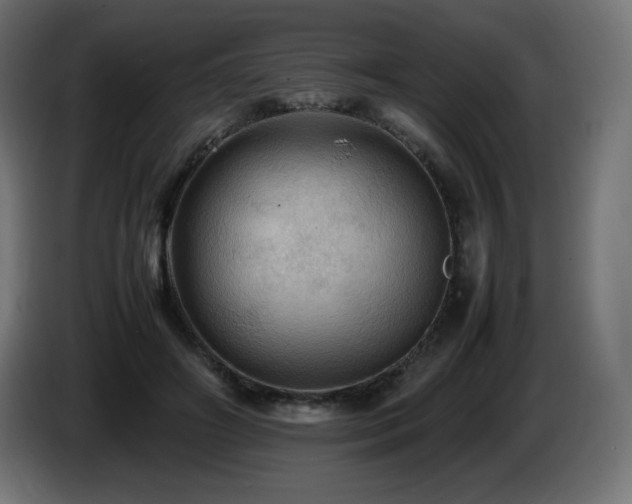 X0000087010498200704161544