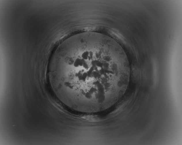X0000087010499200704161544