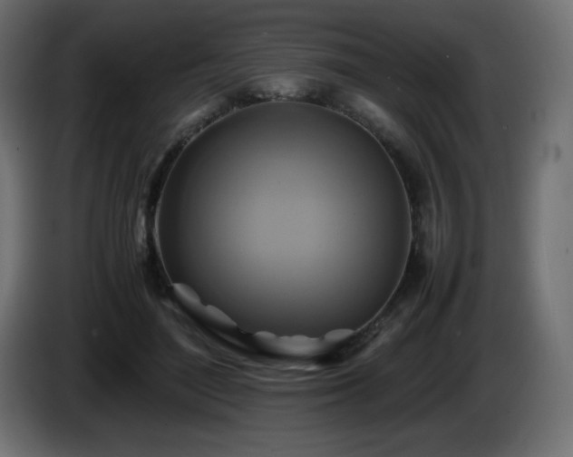 X0000087010500200704161544