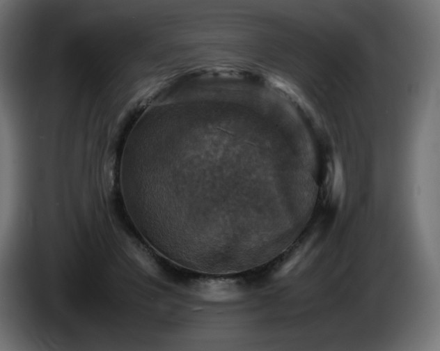 X0000087010501200704161544