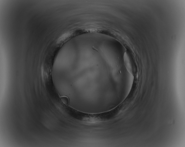 X0000087010503200704161544