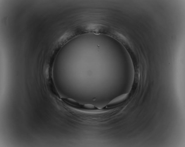 X0000087010504200704161544