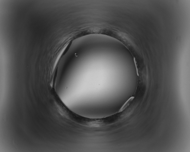 X0000087010505200704161544