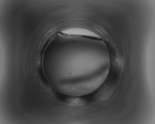 X0000087010507200704161544