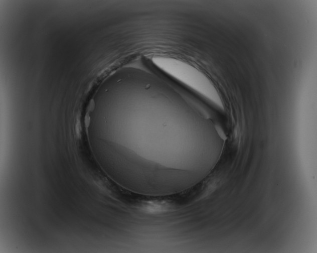 X0000087010508200704161544