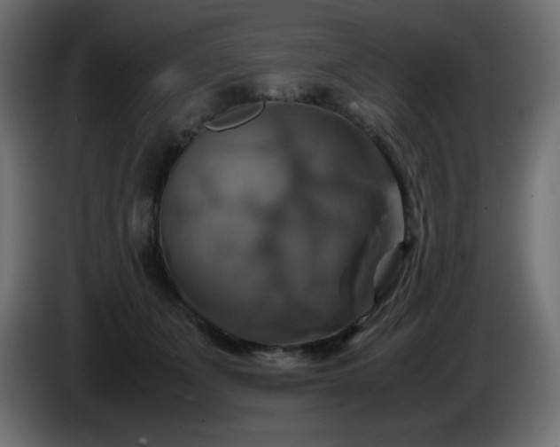 X0000087010511200704161544