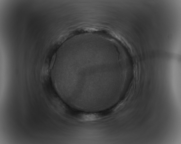 X0000087010513200704161544