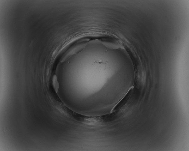 X0000087010516200704161544