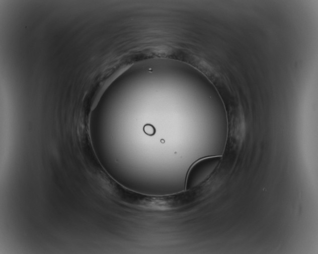 X0000087010518200704161544