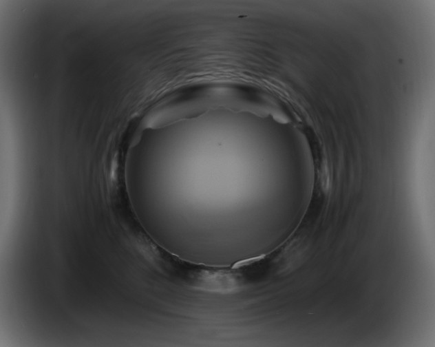 X0000087010520200704161544