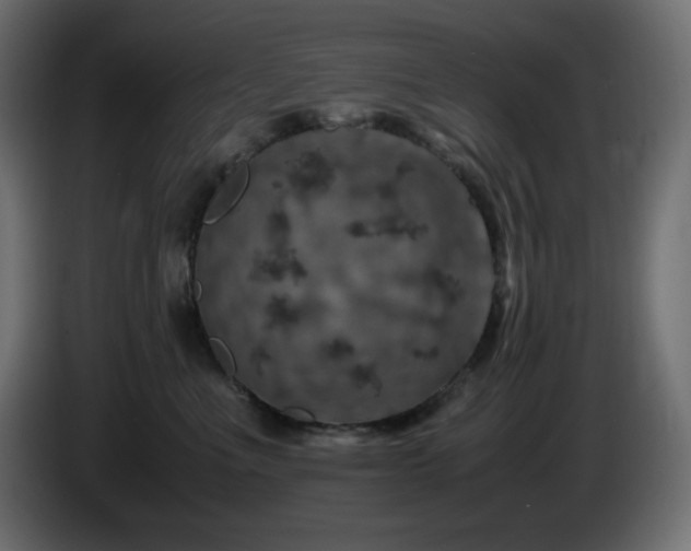 X0000087010523200704161544