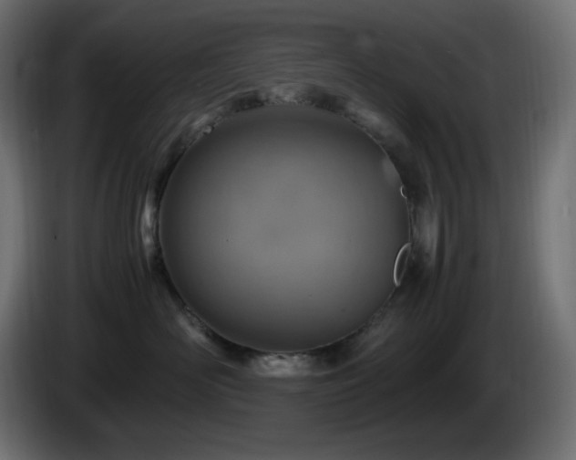 X0000087010526200704161544