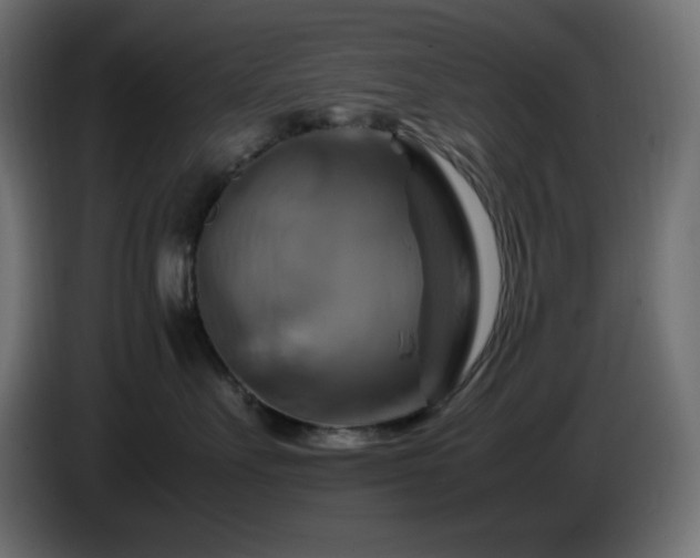 X0000087010527200704161544
