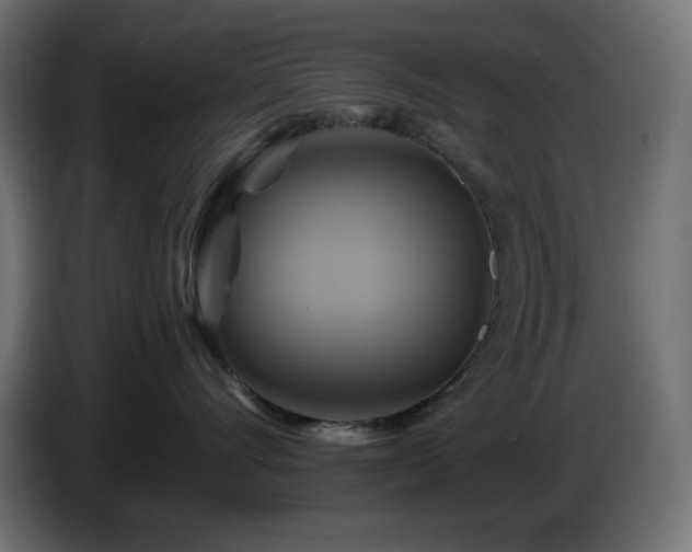 X0000087010528200704161544
