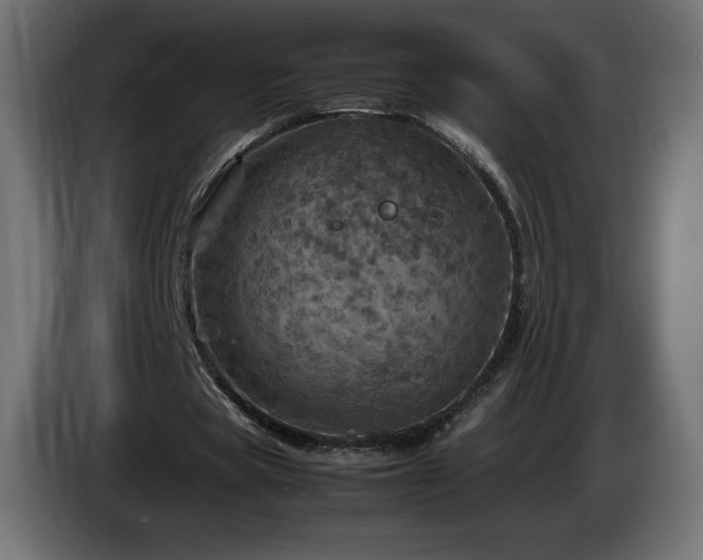 X0000087010529200704161543
