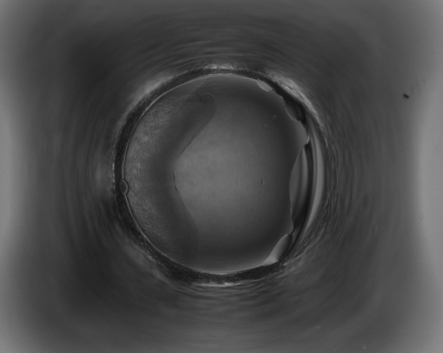 X0000087010531200704161543