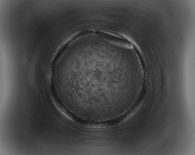 X0000087010533200704161543