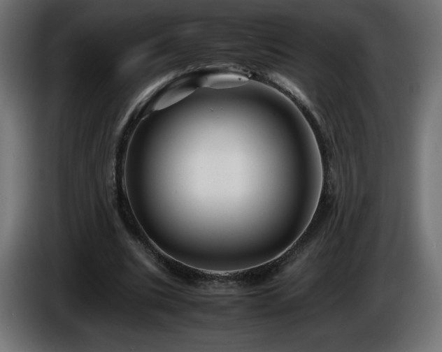 X0000087010535200704161543