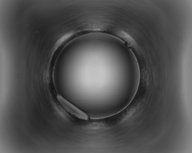X0000087010536200704161543