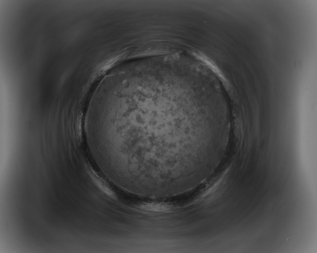 X0000087010537200704161543