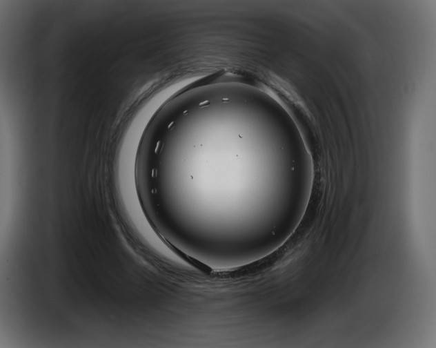X0000087010538200704161543