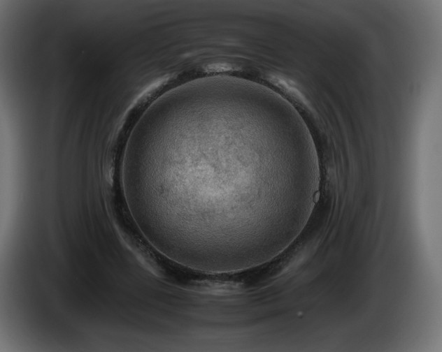 X0000087010539200704161543