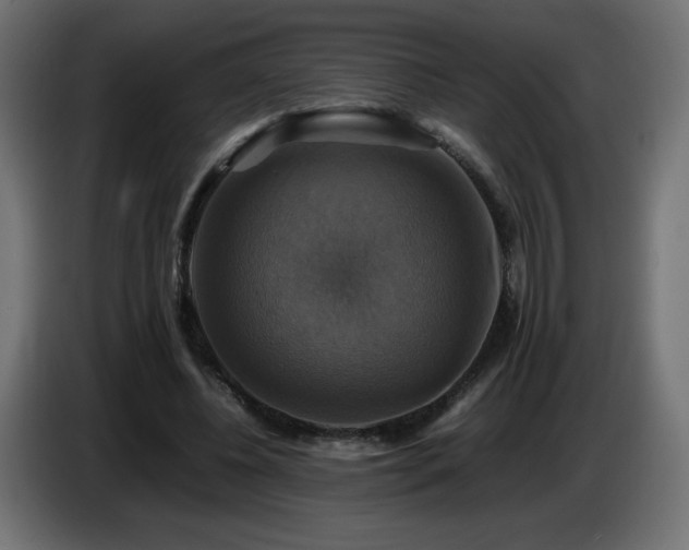 X0000087010540200704161543