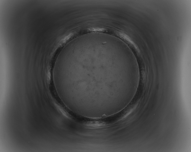 X0000087010541200704161543