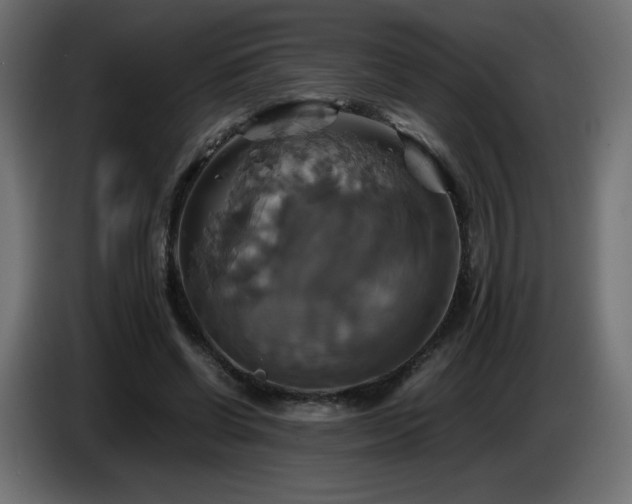 X0000087010542200704161543