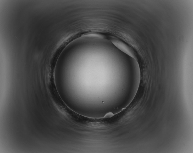 X0000087010544200704161543