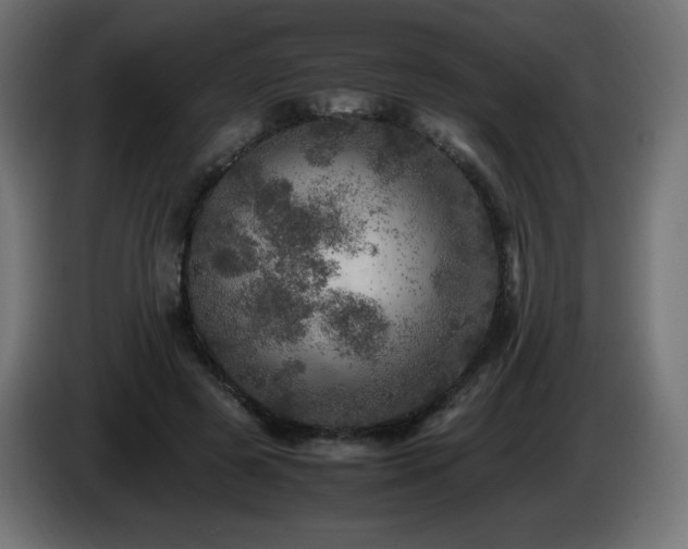 X0000087010545200704161543