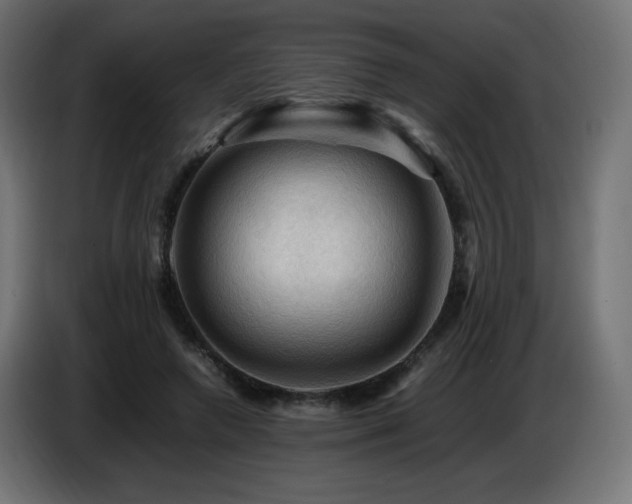 X0000087010546200704161543